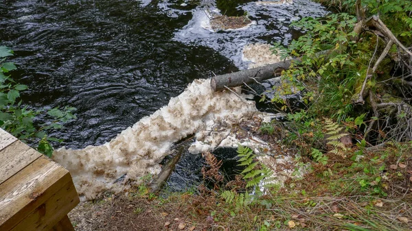 Észak Oroszország Természeti Park Vízesések Gyönyörű Természet Egy Igazi Orosz — Stock Fotó