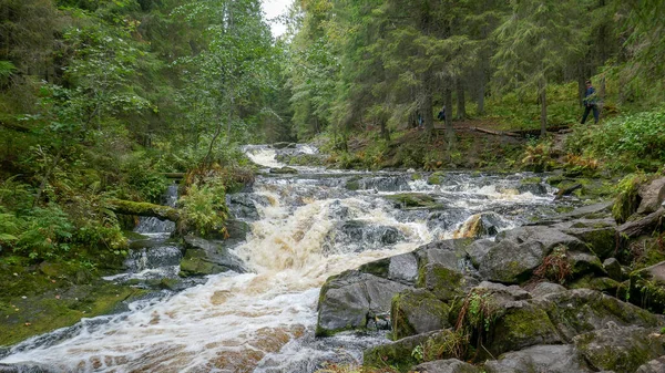 Rusya 'nın kuzeyindeki Doğal Park. Şelaleler, muhteşem doğa ve gerçek bir Rus ormanı. Karelya Cumhuriyeti