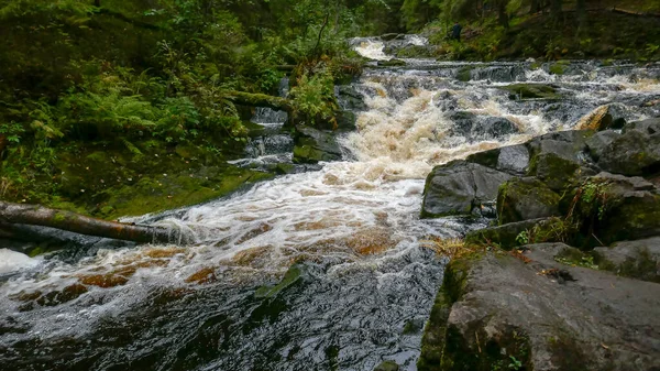 Přírodní Park Severu Ruska Vodopády Nádherná Příroda Skutečný Ruský Les — Stock fotografie