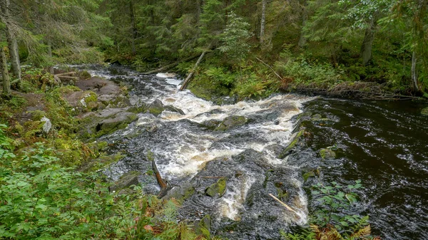 Parque Natural Norte Rússia Cachoeiras Natureza Deslumbrante Uma Verdadeira Floresta — Fotografia de Stock