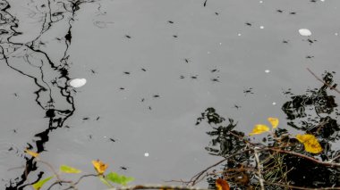 Ruskeala Şelalesi. Kuzey Rusya 'da, Karelia Cumhuriyeti' nde harika bir doğal park. Sortavala 'dan çok uzak değil..
