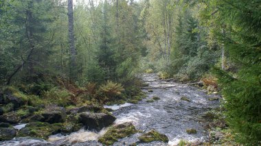 Prokinkoski, Karelia 'da terk edilmiş bir hidroelektrik santralidir. 9 Mayıs 'ta çok güzel bir şelale var.