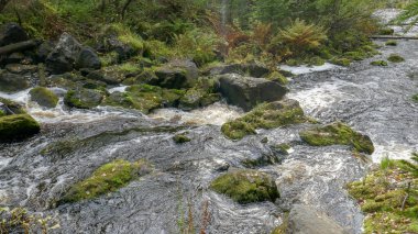 Prokinkoski, Karelia 'da terk edilmiş bir hidroelektrik santralidir. 9 Mayıs 'ta çok güzel bir şelale var.