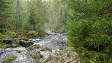 Prokinkoski, Karelia 'da terk edilmiş bir hidroelektrik santralidir. 9 Mayıs 'ta çok güzel bir şelale var.