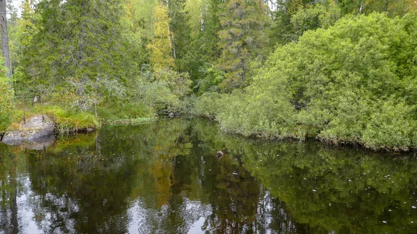 Водоспад Раскеала Чудовий Природний Парк Півночі Росії Республіка Карелія Неподалік — стокове фото