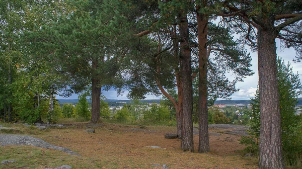 Prachtig Russisch Noorden Sortavala Ligt Ten Noordwesten Van Het Onega — Stockfoto