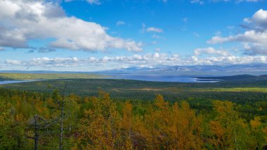 Rus kuzeyinin çarpıcı doğası. Tundra, Murmansk bölgesi. Monchegorsk 'ta muhteşem bir sonbahar.