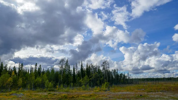 Norte Russo Muito Bonito Natureza Murmansk Lagos Floresta Tundra — Fotografia de Stock