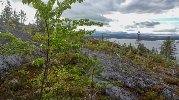 Kandalaksha Los Alrededores Ciudad Hermoso Lugar Vistas Bahía Kandalaksh Mar — Foto de Stock