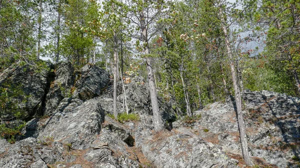 Kandalaksha Και Περιβάλλον Της Πόλης Όμορφο Μέρος Θέα Στον Κόλπο — Φωτογραφία Αρχείου