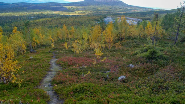 Nature Époustouflante Nord Russe Toundra Région Mourmansk Magnifique Automne Monchegorsk — Photo