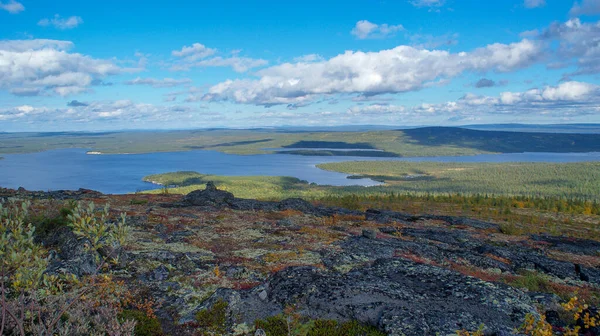 Impresionante Naturaleza Del Norte Ruso Tundra Región Murmansk Magnífico Otoño — Foto de Stock