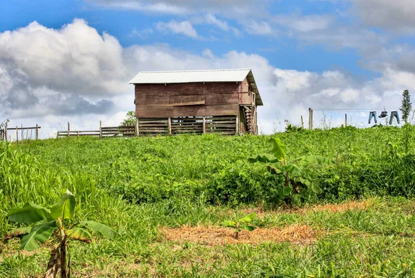 Belize 'de bir çiftlikte tarımsal araç