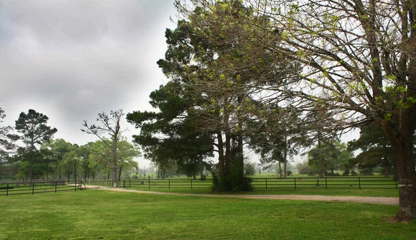 Ruhige Grüne Texas Ranch — Stockfoto