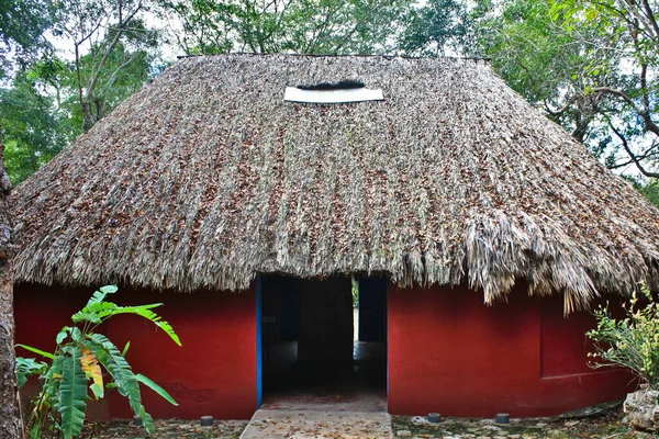 Tipik Maya evi ormanda.