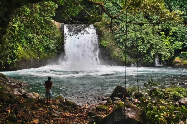 Tropikal ormanda şelale