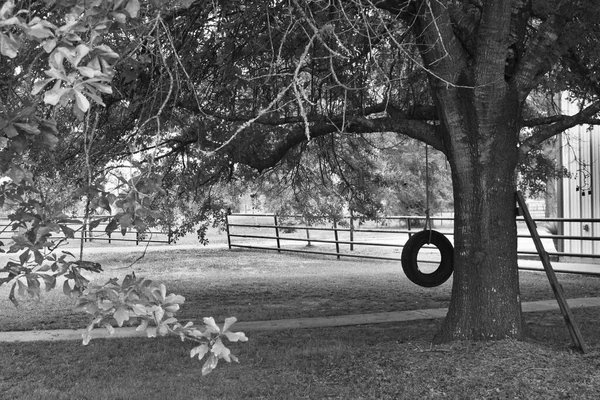 Ağaçta eski moda salıncak