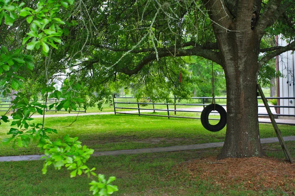 Ağaçta eski moda salıncak