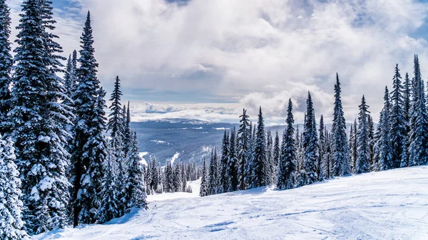 Árboles Cubiertos Nieve Nieve Profunda Una Pista Esquí Alto Alpino —  Fotos de Stock
