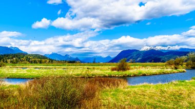 Pitt Polder Maple Ridge British Columbia, Kanada içinde belgili tanımlık geçmiş Golden kulak Dağı yakınında, Lezbiyen Marnixkade Alouette Nehri