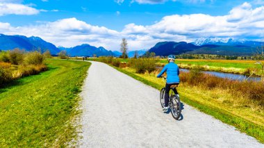 Senior woman biking along the Alouette River on the dyke surrounding Pitt Polder at the town of Maple Ridge in British Columbia, Canada clipart