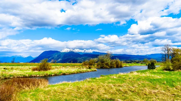 Alouette Rivier Gezien Vanaf Dijk Bij Pitt Polder Buurt Van — Stockfoto