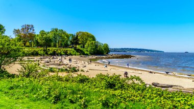 Hadden Park köpek Beach False Creek alanında ünlü ve güzel şehir Vancouver, British Columbia Kanada bir güzel güneşli gün faaliyettir