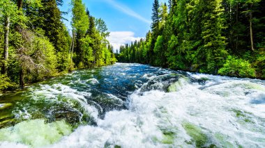 Büyük su akışı Karibu dağlar Wells gri Provincial Park, British Columbia, Kanada derin kar paketinin erime nedeniyle Murtle Nehri'nde bahar ikinci tur sırasında .