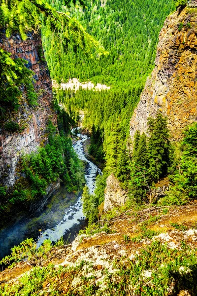 Spahats Creek Протікає Через Каньйон Відразу Після Свердловин Сірий Провінційний — стокове фото