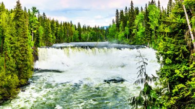 Karibu dağlarda erken kar erime Wells gri Provincial Park güzel British Columbia, Kanada içinde Dawson Falls Murtle Nehri'nin muhteşem su akışı oluşturur
