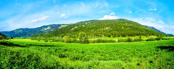Panoramatický Výhled Svěží Pastviny Dálnici Dálnice Kamloops Princeton Mezi Městy — Stock fotografie