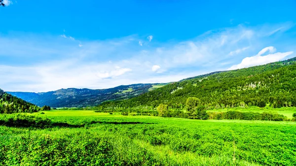 Gür otlaklar Otoban 5a, Merritt şehirleri ve British Columbia, Kanada Princeton arasındaki Kamloops-Princeton karayolu boyunca