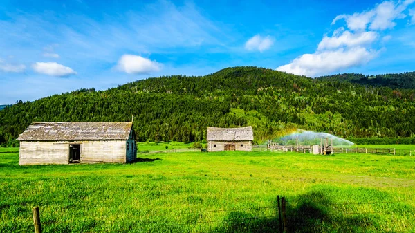 Eski ahır ve Whitecroft ve Barierre British Columbia, Kanada Shuswap dağlık arasındaki Heffley-Louis Creek yol boyunca sulanan meadows