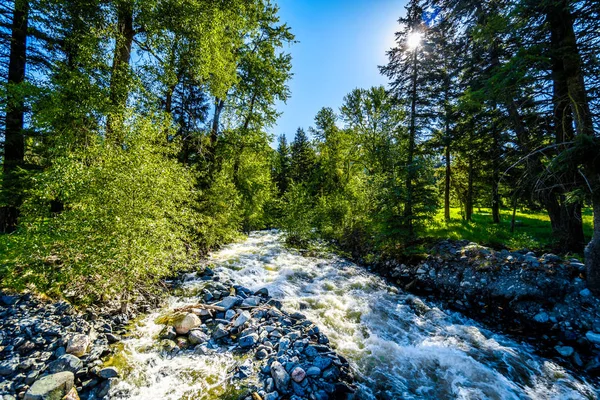 Spring Run Sungai Sepanjang Heffley Louis Creek Road Antara Whitecroft — Stok Foto