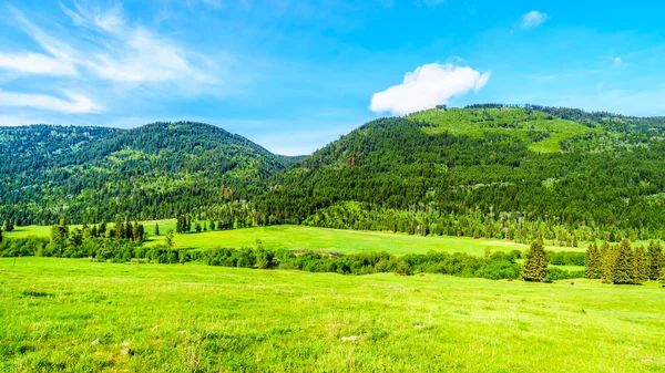 Farm fields surrounded by the Coastal Mountains along Highway 5A, the Kamloops-Princeton Highway, between the towns of Merritt and Princeton in British Columbia, Canada