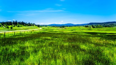 Gür otlaklar Otoban 5a, Merritt şehirleri ve British Columbia, Kanada Princeton arasındaki Kamloops-Princeton karayolu boyunca 