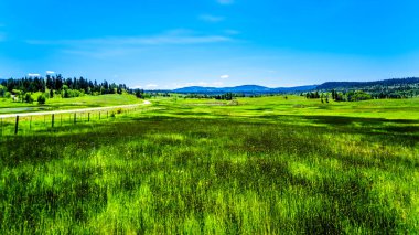 Lush Grasslands along Highway 5A, the Kamloops-Princeton Highway, between the towns of Merritt and Princeton in British Columbia, Canada  clipart