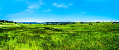 Lush Grasslands along Highway 5A, the Kamloops-Princeton Highway, between the towns of Merritt and Princeton in British Columbia, Canada clipart
