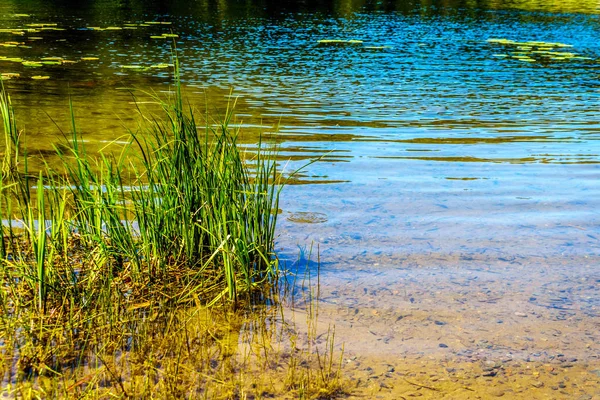 Трав Чистій Воді Озера Тейлор Вздовж Шосе Шосе Kamloops Прінстон — стокове фото