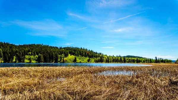 Kidd Gölü Otoban 5a, Merritt şehirleri ve British Columbia, Kanada Princeton arasındaki Kamloops-Princeton karayolu boyunca