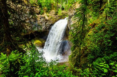Büyük su akışı sırasında bahar çalıştırmak Off of Moul düşüyor Grouse Creek Wells gri Provincial Park Clearwater, British Columbia, Kanada