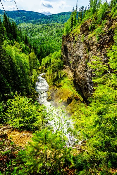 View of Grouse Creek after Moul Falls from the top of the Falls in Wells Gray Provincial Park at Clearwater, British Columbia, Canada