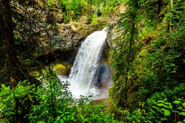 The massive water flow during Spring Run Off of Moul Falls in Grouse Creek in Wells Gray Provincial Park at Clearwater, British Columbia, Canada