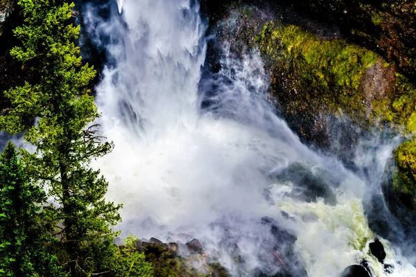 Voda Potoka Spahats Kaskádové Dolů Dno Spahats Falls Wells Gray — Stock fotografie