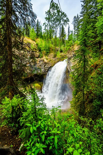 The massive water flow during Spring Run Off of Moul Falls in Grouse Creek in Wells Gray Provincial Park at Clearwater, British Columbia, Canada