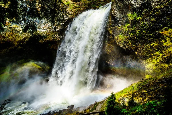 Massive Water Flow Spring Run Moul Falls Grouse Creek Wells — Stock Photo, Image
