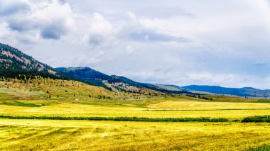 Kamloops, British Columbia, Kanada arasındaki Merritt Otoban 5a boyunca Nicola Vadisi'ndeki çiftlik arazi