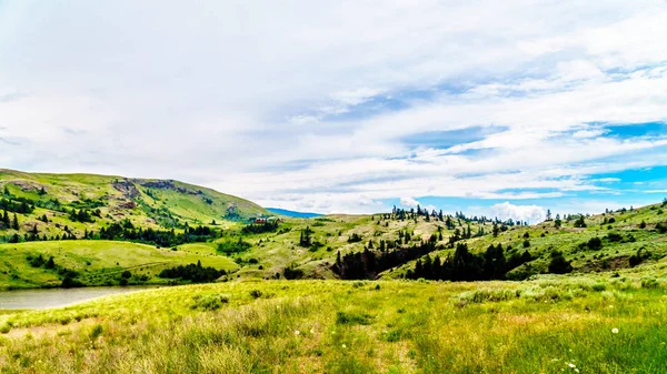 Rolling Hills Wide Open Grass Lands Shuswap Okanagen Merritt Kamloops — Foto de Stock