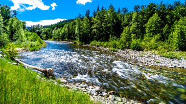 The fast flowing water of the Coldwater River near the intersection between the Coldwater Road and the Coquihalla Highway between Hope and Merritt in British Columbia, Canada clipart
