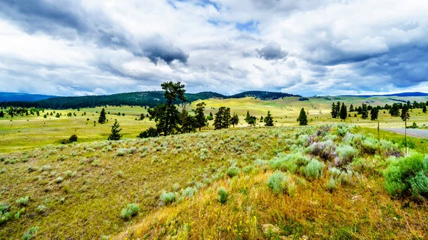 Nubes Oscuras Que Cuelgan Sobre Lodgepole Pinos Las Colinas Ondulantes — Foto de Stock